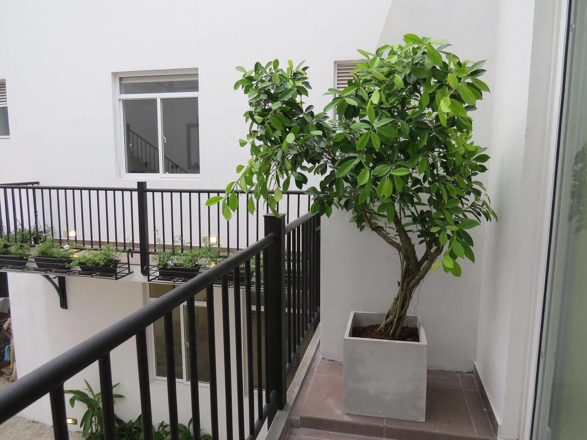 Chapelton House Bed & Breakfast โคลอมโบ ภายนอก รูปภาพ